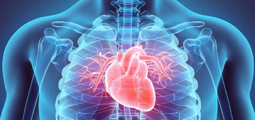 Cardiologist in Kandivali