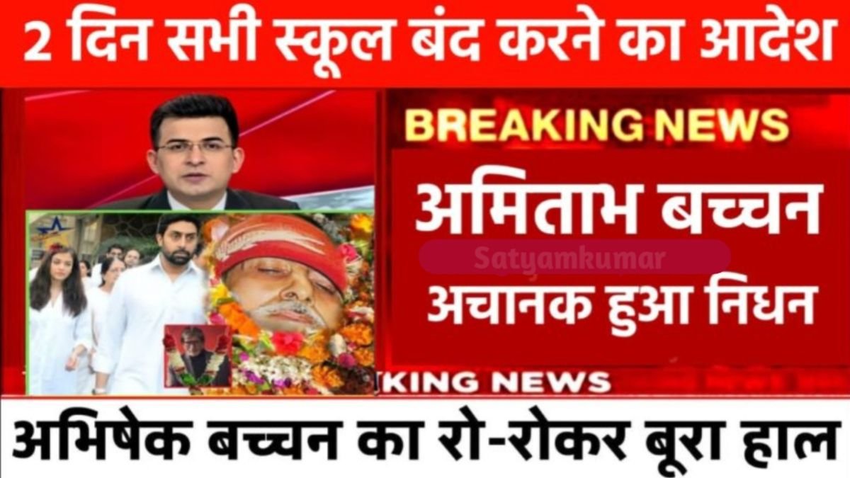 Vivo Entry-Level Phone Launch Brings Big Battery and Features